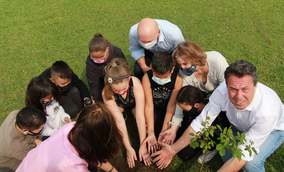 Nesta terça-feira (21), o Dia da Árvore foi comemorado em diversos municípios do Paraná com a distribuição e plantio de mais de 400 mil mudas de espécies nativas. As mudas foram distribuídas pelo Instituto Água e Terra (IAT) que possui 19 viveiros florestais e dois laboratórios de sementes de árvores nativas. Foto: Alessandro Vieira/SEDEST