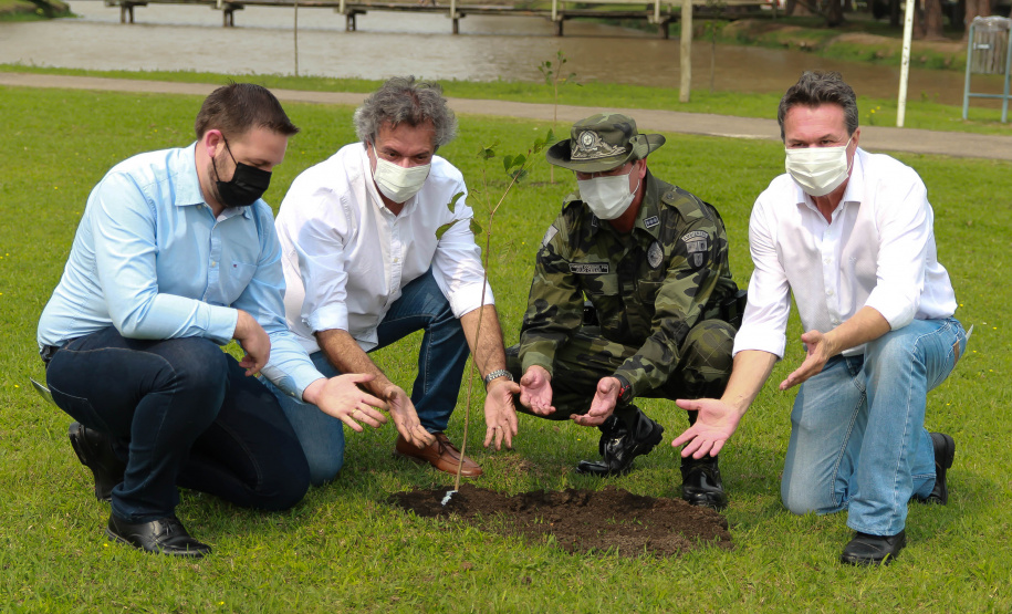 Nesta terça-feira (21), o Dia da Árvore foi comemorado em diversos municípios do Paraná com a distribuição e plantio de mais de 400 mil mudas de espécies nativas. As mudas foram distribuídas pelo Instituto Água e Terra (IAT) que possui 19 viveiros florestais e dois laboratórios de sementes de árvores nativas. Foto: Alessandro Vieira/SEDEST