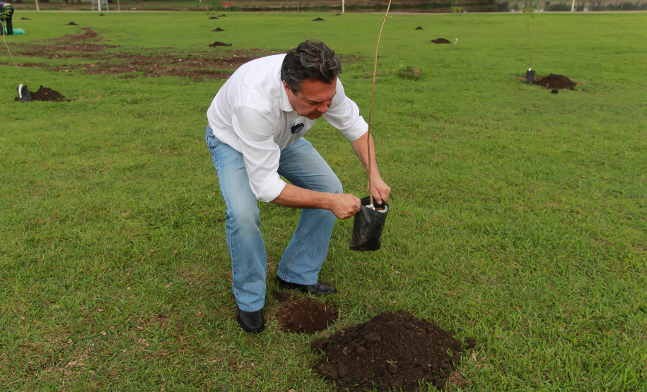 Nesta terça-feira (21), o Dia da Árvore foi comemorado em diversos municípios do Paraná com a distribuição e plantio de mais de 400 mil mudas de espécies nativas. As mudas foram distribuídas pelo Instituto Água e Terra (IAT) que possui 19 viveiros florestais e dois laboratórios de sementes de árvores nativas. Foto: Alessandro Vieira/SEDEST