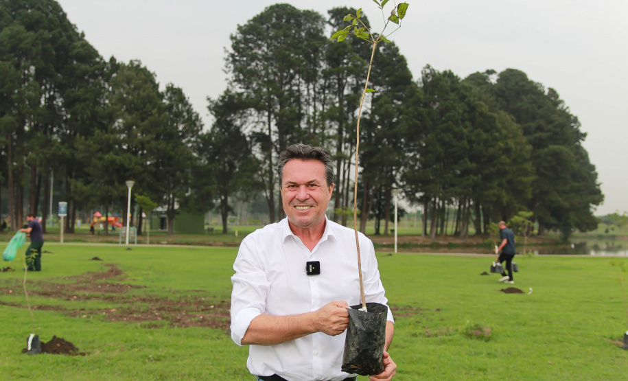 Nesta terça-feira (21), o Dia da Árvore foi comemorado em diversos municípios do Paraná com a distribuição e plantio de mais de 400 mil mudas de espécies nativas. As mudas foram distribuídas pelo Instituto Água e Terra (IAT) que possui 19 viveiros florestais e dois laboratórios de sementes de árvores nativas. Foto: Alessandro Vieira/SEDEST