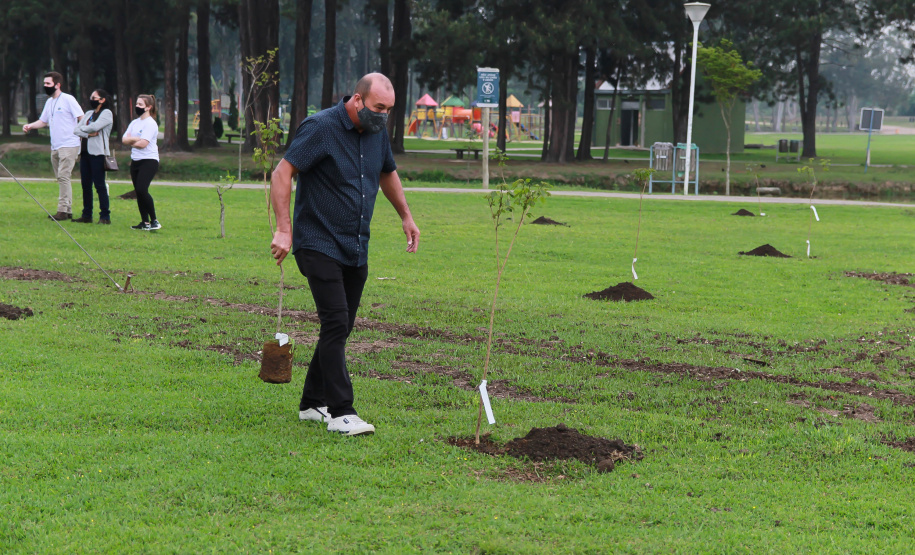 Nesta terça-feira (21), o Dia da Árvore foi comemorado em diversos municípios do Paraná com a distribuição e plantio de mais de 400 mil mudas de espécies nativas. As mudas foram distribuídas pelo Instituto Água e Terra (IAT) que possui 19 viveiros florestais e dois laboratórios de sementes de árvores nativas. Foto: Alessandro Vieira/SEDEST