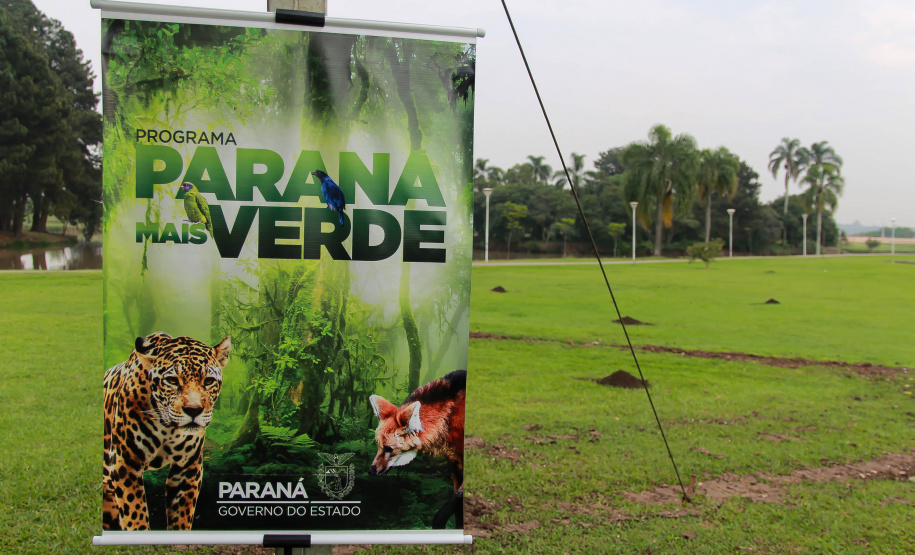 Nesta terça-feira (21), o Dia da Árvore foi comemorado em diversos municípios do Paraná com a distribuição e plantio de mais de 400 mil mudas de espécies nativas. As mudas foram distribuídas pelo Instituto Água e Terra (IAT) que possui 19 viveiros florestais e dois laboratórios de sementes de árvores nativas. Foto: Alessandro Vieira/SEDEST
