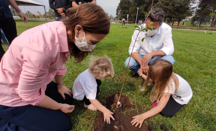 Nesta terça-feira (21), o Dia da Árvore foi comemorado em diversos municípios do Paraná com a distribuição e plantio de mais de 400 mil mudas de espécies nativas. As mudas foram distribuídas pelo Instituto Água e Terra (IAT) que possui 19 viveiros florestais e dois laboratórios de sementes de árvores nativas. Foto: Alessandro Vieira/SEDEST
