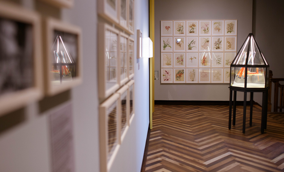 Museu Paranaense comemora 145 anos com programação especial. Foto:Mariana Alves