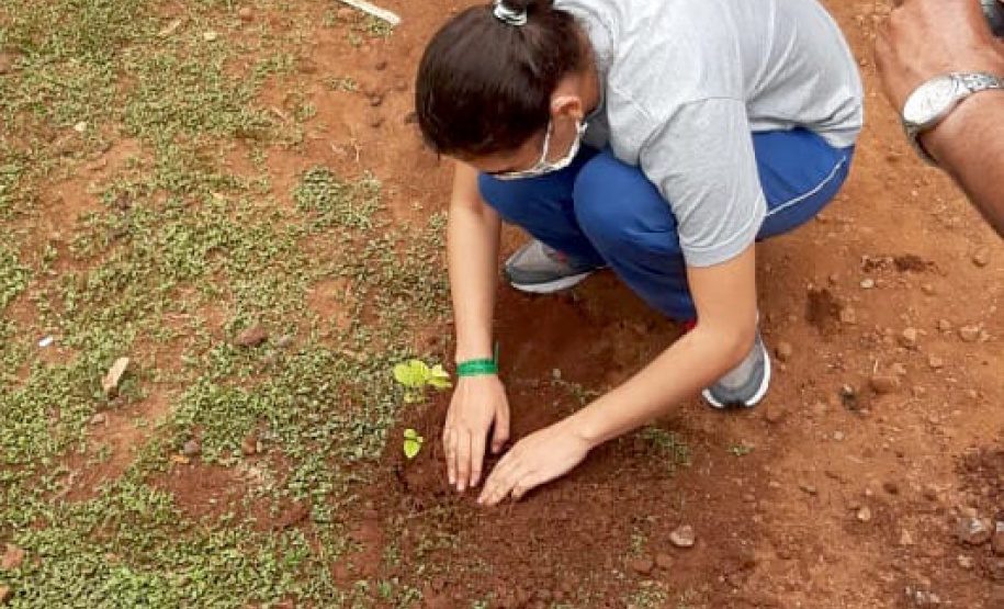 Em diversas cidades do Paraná, as ações em comemoração ao Dia da Árvore (21) ocorrem durante toda a semana. As iniciativas são promovidas pelos 21 Escritórios Regionais do Instituto Água e Terra (IAT) conforme a demanda de cada região. O IAT é um órgão vinculado à Secretaria de Estado do Desenvolvimento Sustentável e do Turismo (Sedest). -  Curitiba, 22/09/2021  -  Foto: IAT/SEDEST