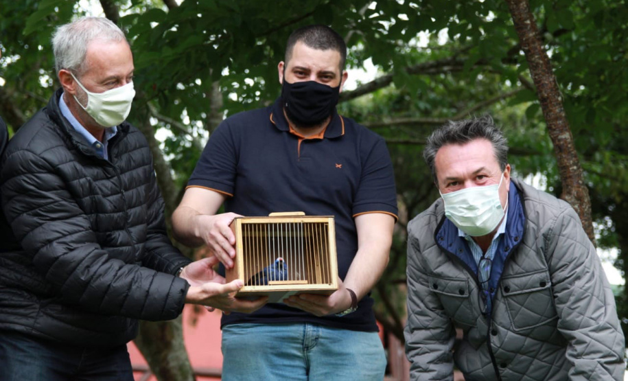 No Dia Mundial da Fauna e Dia da Defesa da Fauna, nesta quarta-feira (22), a Secretaria do Desenvolvimento Sustentável e do Turismo (Sedest) reforçou o serviço prestado no Estado de atendimento aos animais silvestres.  -  Curitiba, 23/09/2021  -  Foto: Alessandro Vieira/AEN