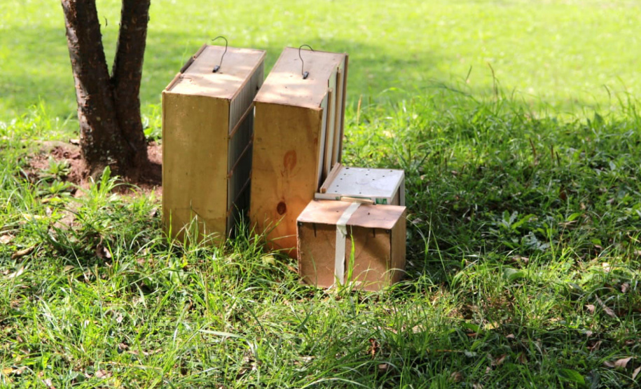 No Dia Mundial da Fauna e Dia da Defesa da Fauna, nesta quarta-feira (22), a Secretaria do Desenvolvimento Sustentável e do Turismo (Sedest) reforçou o serviço prestado no Estado de atendimento aos animais silvestres.  -  Curitiba, 23/09/2021  -  Foto: Alessandro Vieira/AEN