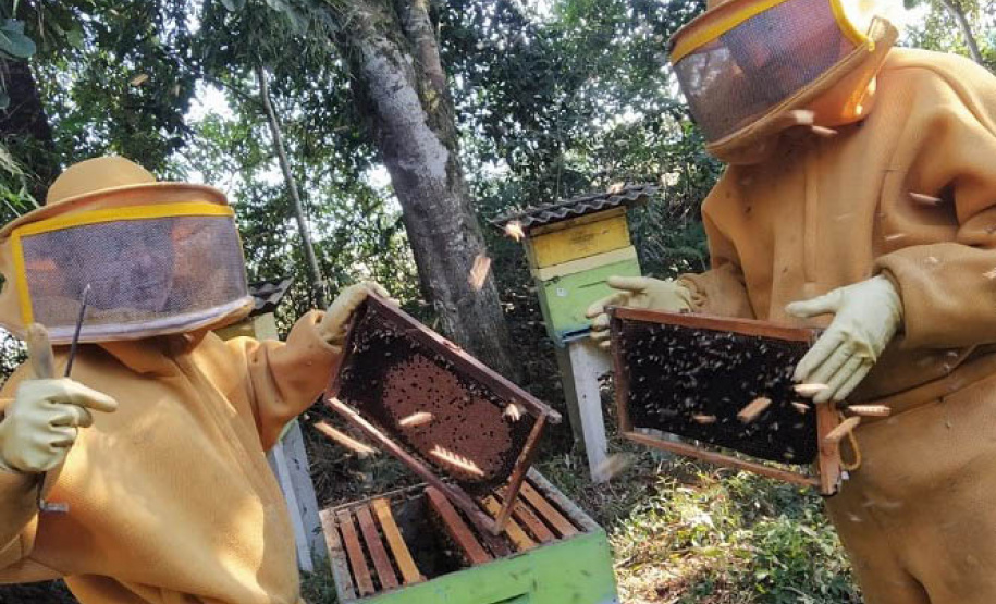 Culturas de inverno aumentam a produção de mel e preservam o solo -  Curitiba, 23/09/2021  -  Foto: IDR-PARANÁ