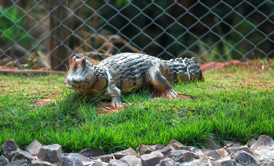O secretário do Desenvolvimento Sustentável e do Turismo (Sedest), Márcio Nunes, inaugurou, nesta quinta-feira (23), o primeiro Parque Urbano do Paraná no município de Araruna, no Centro-Oeste do Estado.  - Araruna, 23/09/2021  -  Foto:Alessandro Vieira/SEDEST
