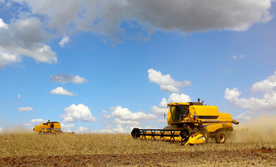 Colheita de soja. Fotos:Jaelson Lucas / Arquivo AEN