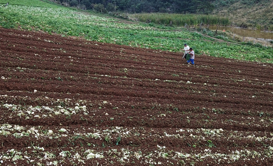 Reconhecer as melhores práticas econômicas, ambientais e sociais do agronegócio paranaense. Esse é o objetivo do prêmio Orgulho da Terra, lançado pelo Instituto de Desenvolvimento Rural do Paraná-Iapar-Emater (IDR-Paraná), em parceria com o Grupo Ric e o sistema Ocepar. Foto: José Fernando Ogura/AEN