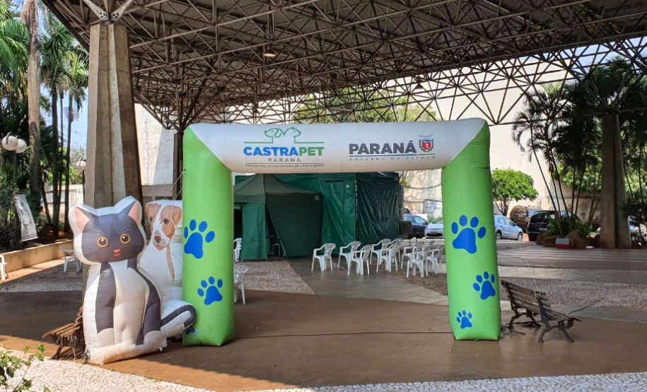 Programa CastraPet conclui cerca de 413 procedimentos nesta semana  -  Curitiba, 24/09/2021  -  Foto: SEDEST