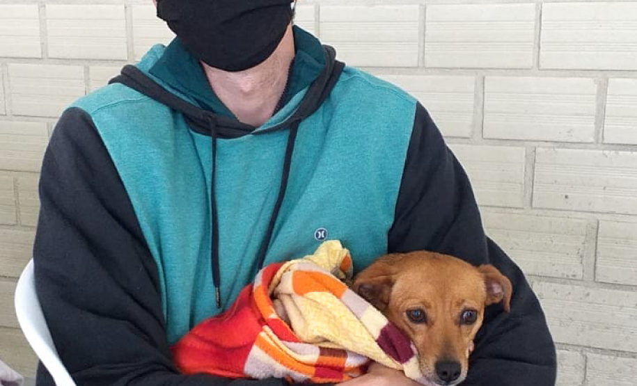 Programa CastraPet conclui cerca de 413 procedimentos nesta semana  -  Curitiba, 24/09/2021  -  Foto: SEDEST