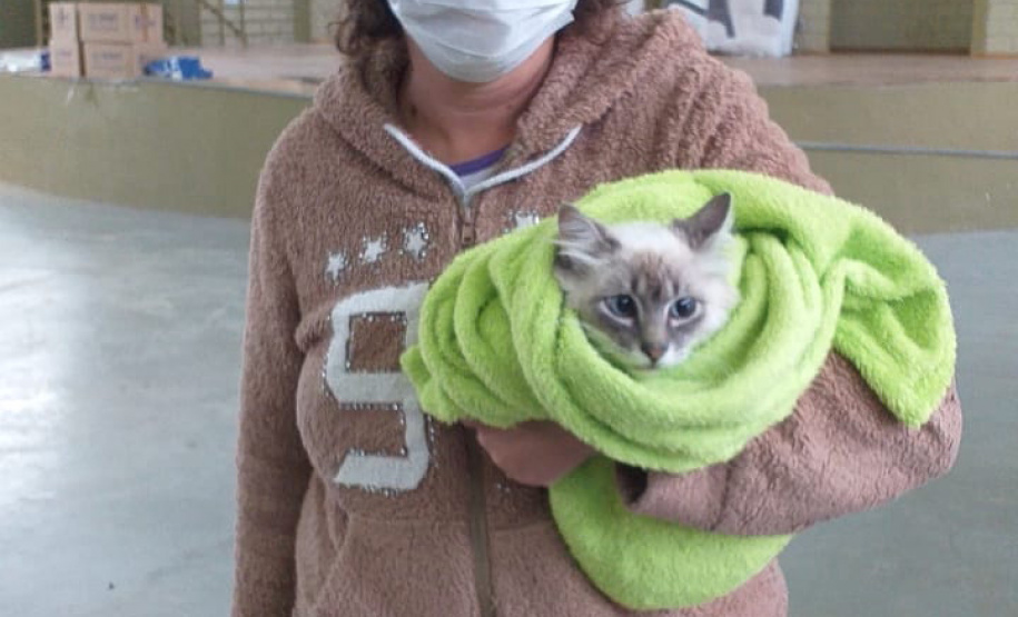 Programa CastraPet conclui cerca de 413 procedimentos nesta semana  -  Curitiba, 24/09/2021  -  Foto: SEDEST