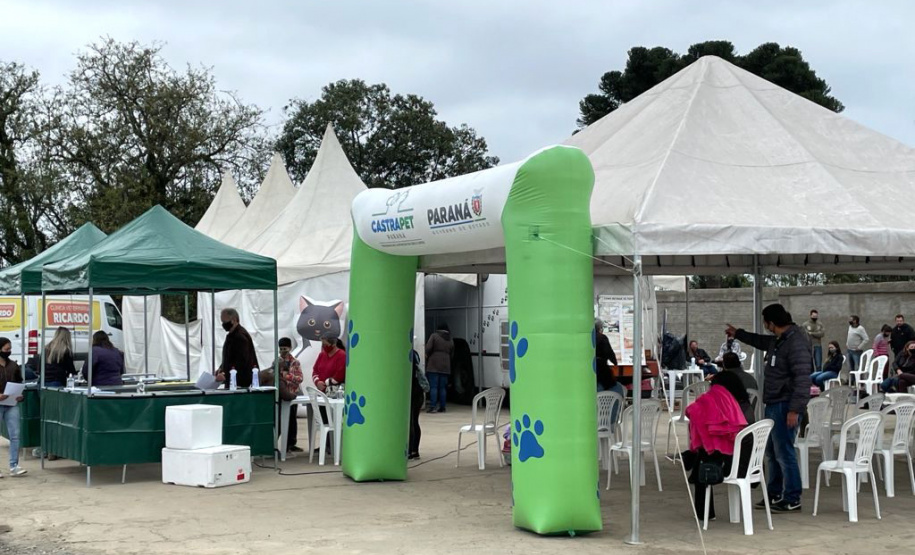 Programa CastraPet conclui cerca de 413 procedimentos nesta semana  -  Curitiba, 24/09/2021  -  Foto: SEDEST