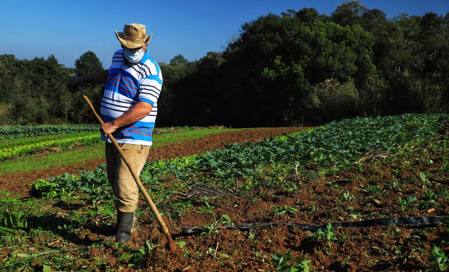 Governo destina neste ano R$ 5,94 milhões a ações que beneficiam 1.360 famílias rurais. Foto: José Fernando Ogura/AEN