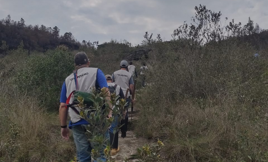Programa de Voluntariado do IAT leva paranaenses ao Parque Estadual Vale do Codó
.Foto:IAT
