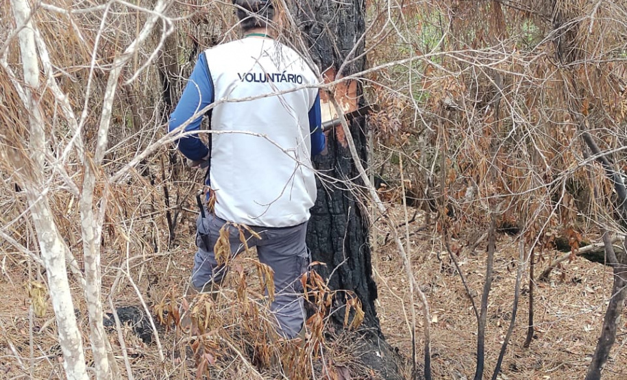 Programa de Voluntariado do IAT leva paranaenses ao Parque Estadual Vale do Codó
.Foto:IAT