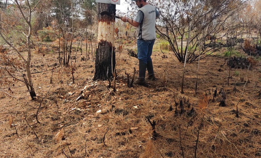 Programa de Voluntariado do IAT leva paranaenses ao Parque Estadual Vale do Codó
.Foto:IAT