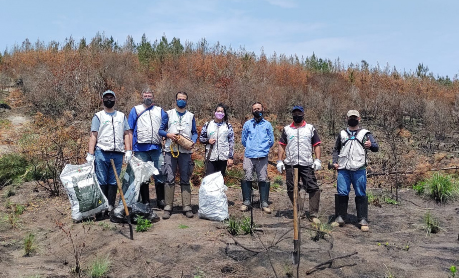 Programa de Voluntariado do IAT leva paranaenses ao Parque Estadual Vale do Codó
.Foto:IAT