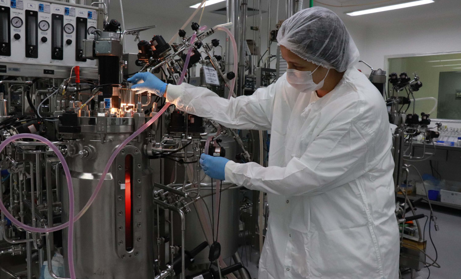 O Tecpar é o único laboratório público brasileiro a produzir a vacina antirrábica veterinária e até o final do ano irá fornecer 19 milhões de doses ao Ministério da Saúde, com o propósito de realizar campanhas de vacinação de cães e gatos em todo o país. Foto: Tecpar