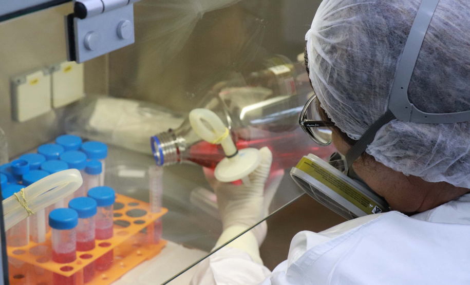 O Tecpar é o único laboratório público brasileiro a produzir a vacina antirrábica veterinária e até o final do ano irá fornecer 19 milhões de doses ao Ministério da Saúde, com o propósito de realizar campanhas de vacinação de cães e gatos em todo o país. Foto: Tecpar