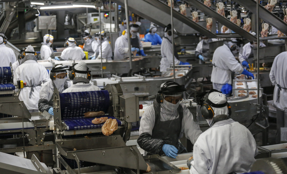 Palotina - 10-10-2020 - Cooperativa C Vale - Industria de Aves e Tilapia - Foto : Jonathan Campos / AEN
