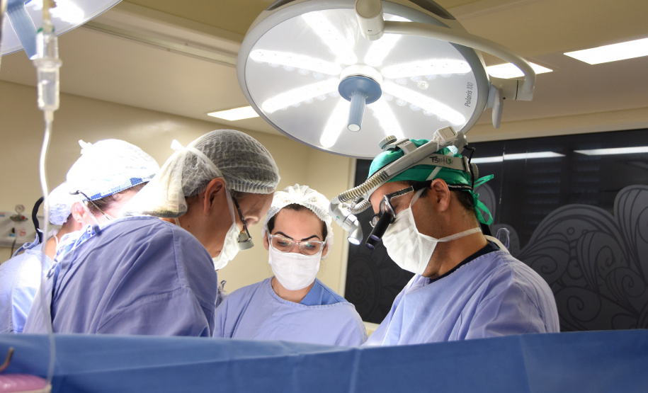Líder no Brasil, Paraná celebra o Dia Nacional da Doação de Órgãos. Foto: SESA