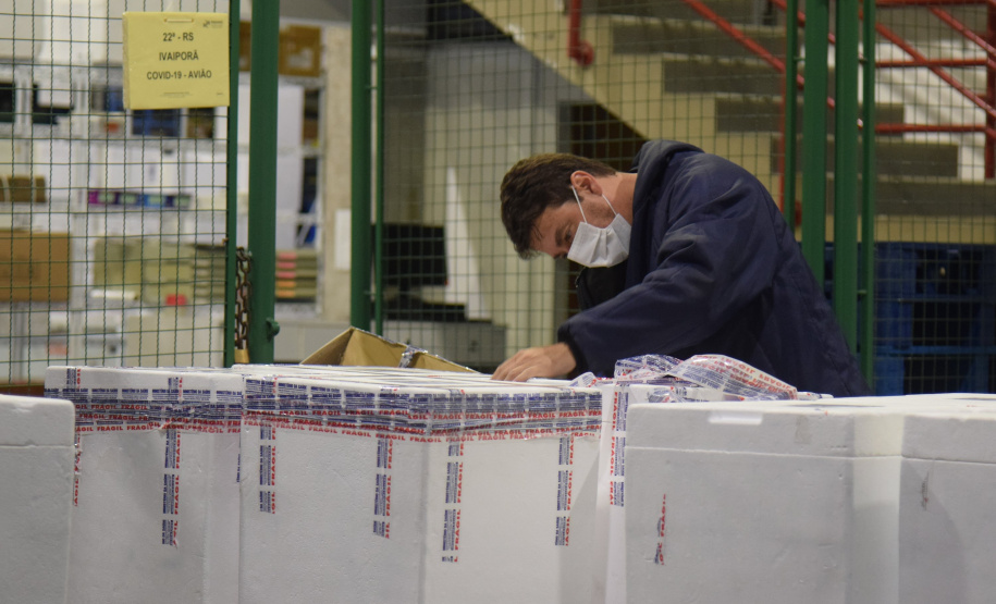 Paraná recebe novo lote de vacinas contra a Covid-19 e distribui 195,3 mil imunizantes Foto: Americo Antonio/SESA