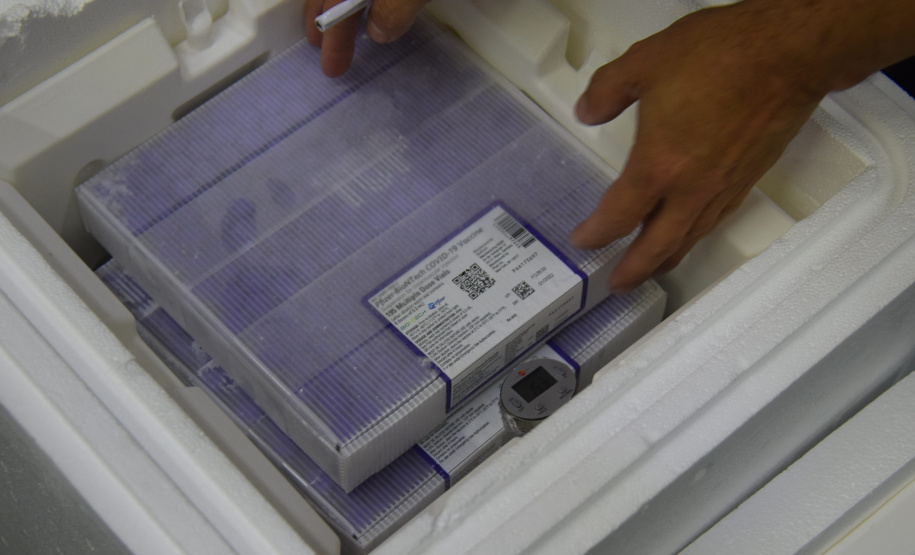 Paraná recebe novo lote de vacinas contra a Covid-19 e distribui 195,3 mil imunizantes Foto: Americo Antonio/SESA