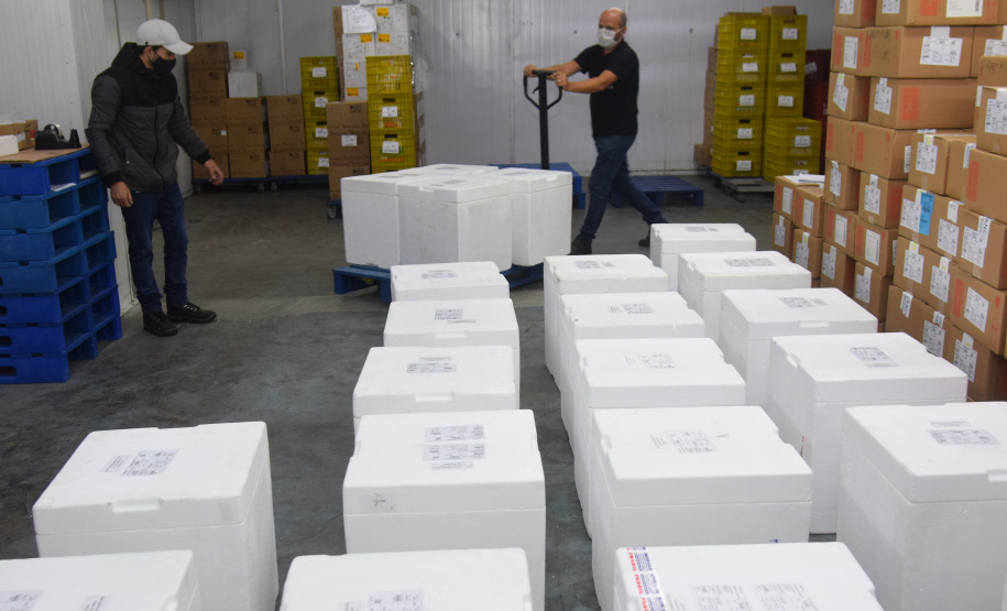 Paraná recebe novo lote de vacinas contra a Covid-19 e distribui 195,3 mil imunizantes Foto: Americo Antonio/SESA