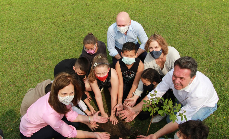 Paraná chega a 5 milhões de mudas distribuídas, equivalente a 3 mil campos de futebol. Foto: Alessandro Vieira/SEDEST