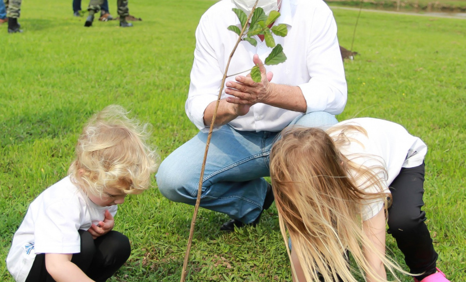Paraná chega a 5 milhões de mudas distribuídas, equivalente a 3 mil campos de futebol. Foto: Alessandro Vieira/SEDEST