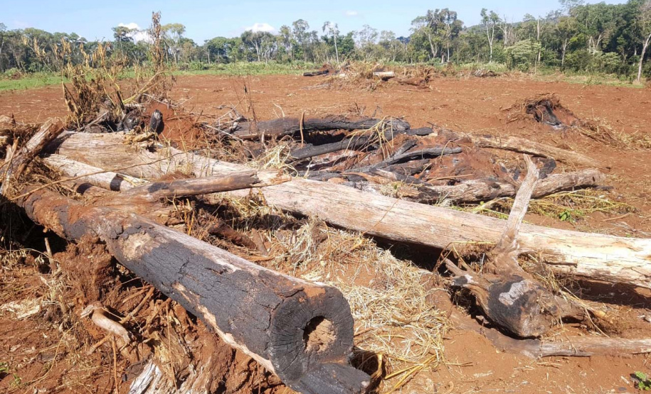 IAT e Polícia Ambiental renovam parceria na fiscalização do Estado. Foto:SEDEST