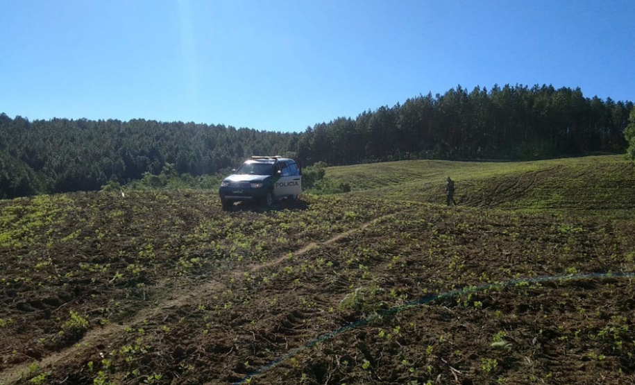 IAT e Polícia Ambiental renovam parceria para a fiscalização de irregularidades. Foto: Batalhão de Polícia Ambiental-Força Verde (BPAmb-FV)