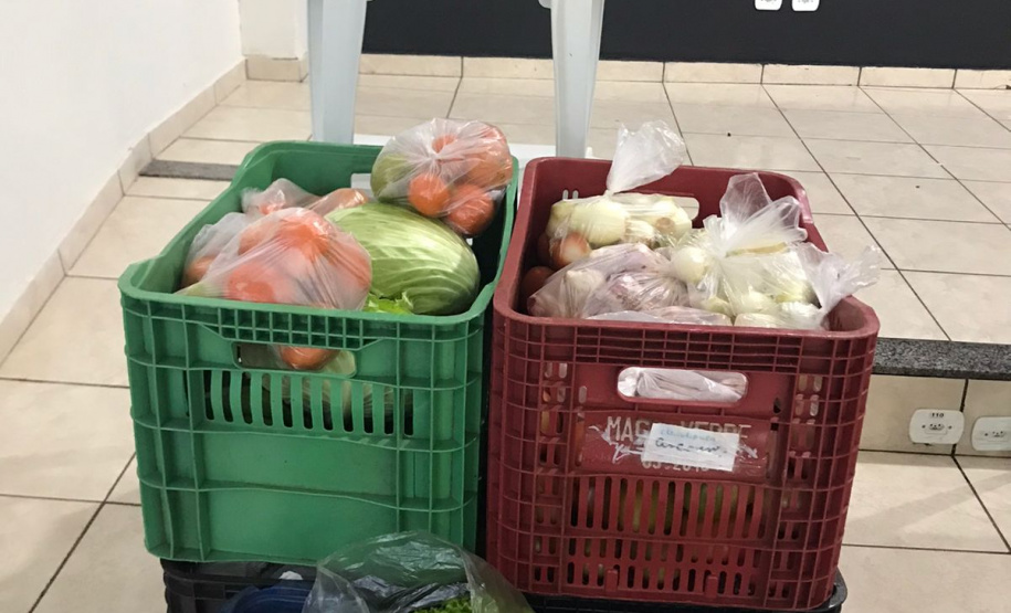 Nova cooperativa regional vai fortalecer agricultura familiar no Noroeste. Foto:Márcio José Serenini/SEAB