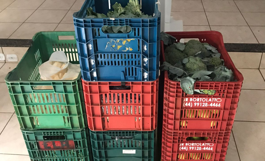 Nova cooperativa regional vai fortalecer agricultura familiar no Noroeste. Foto:Márcio José Serenini/SEAB