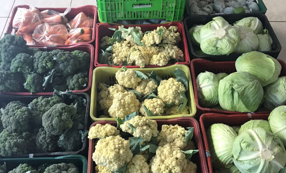 Nova cooperativa regional vai fortalecer agricultura familiar no Noroeste. Foto:Márcio José Serenini/SEAB