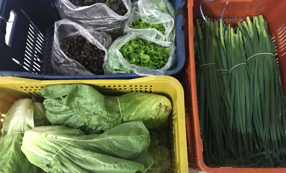 Nova cooperativa regional vai fortalecer agricultura familiar no Noroeste. Foto:Márcio José Serenini/SEAB