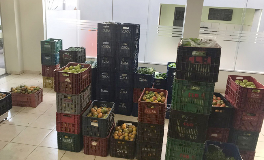 Nova cooperativa regional vai fortalecer agricultura familiar no Noroeste. Foto:Márcio José Serenini/SEAB