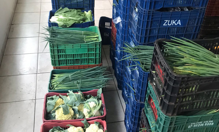 Nova cooperativa regional vai fortalecer agricultura familiar no Noroeste. Foto:Márcio José Serenini/SEAB