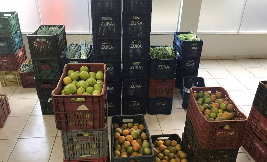 Nova cooperativa regional vai fortalecer agricultura familiar no Noroeste. Foto:Márcio José Serenini/SEAB