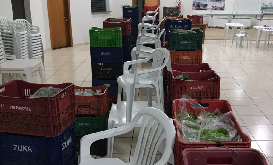 Nova cooperativa regional vai fortalecer agricultura familiar no Noroeste. Foto:Márcio José Serenini/SEAB