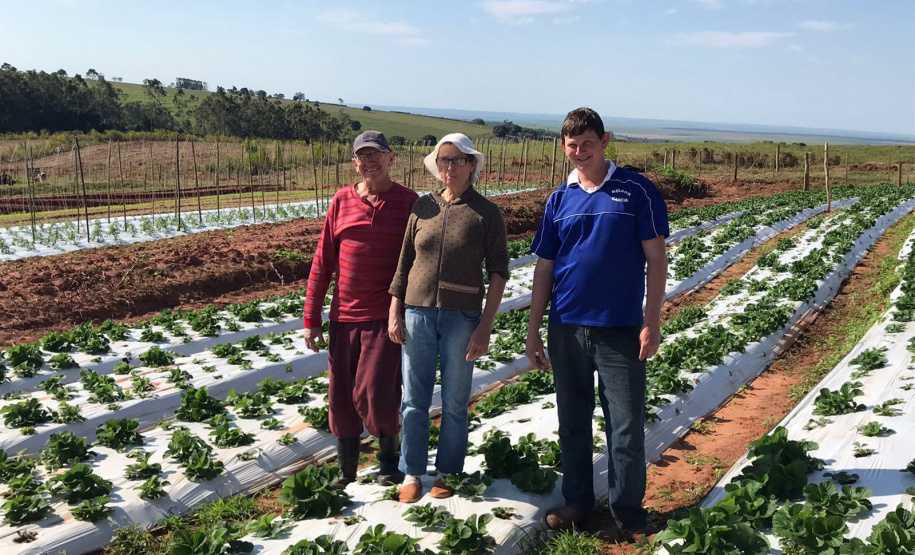 Nova cooperativa regional vai fortalecer agricultura familiar no Noroeste. Foto:Márcio José Serenini/SEAB