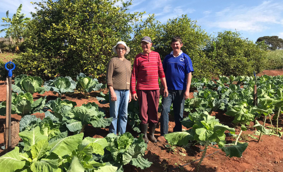 Nova cooperativa regional vai fortalecer agricultura familiar no Noroeste. Foto:Márcio José Serenini/SEAB