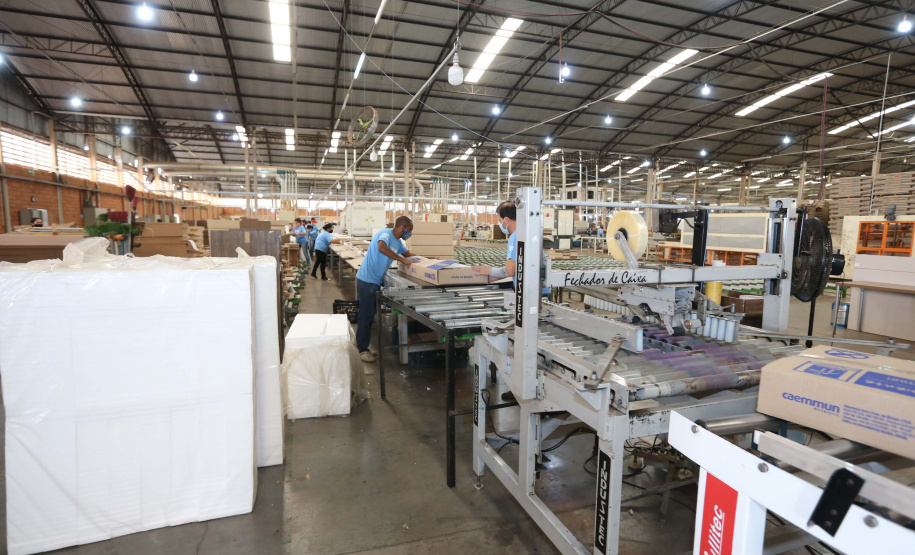 Com melhor resultado do Sul em agosto, Paraná abre 153 mil vagas de emprego no ano- Foto: Geraldo Bubniak/AEN