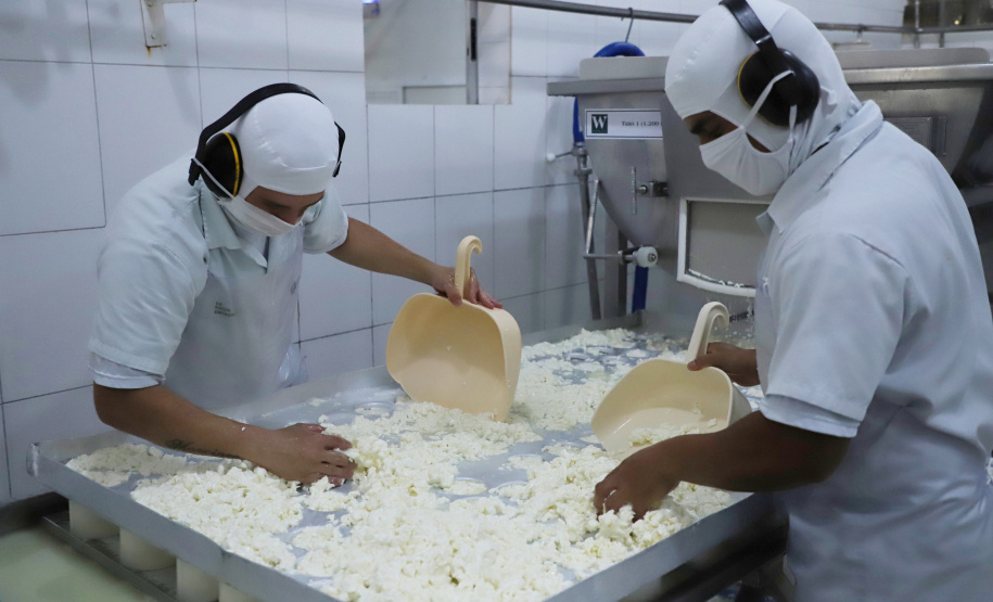 Com melhor resultado do Sul em agosto, Paraná abre 153 mil vagas de emprego no ano.Foto:José Fernando Ogura/AEN