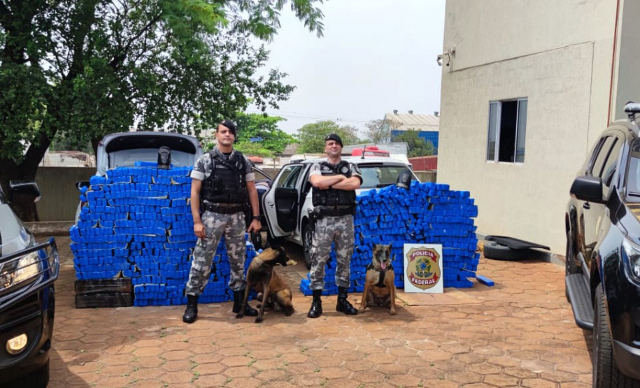 Os esforços da Polícia Militar e da Polícia Federal para reprimir o crime organizado no Norte do Paraná resultaram na apreensão de mais de uma tonelada de maconha na quarta-feira (29/09), em Bela Vista do Paraíso (PR).  - 30/09/2021  -  Foto: PMPR