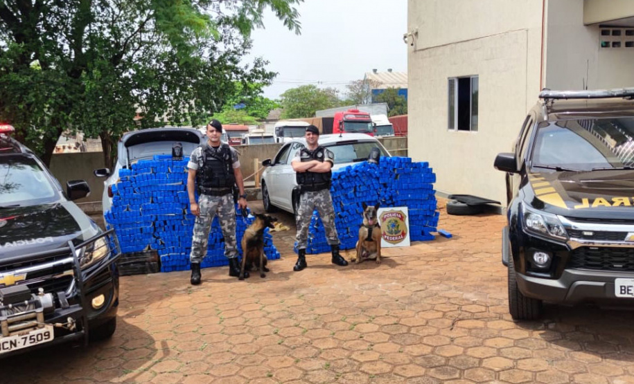 Os esforços da Polícia Militar e da Polícia Federal para reprimir o crime organizado no Norte do Paraná resultaram na apreensão de mais de uma tonelada de maconha na quarta-feira (29/09), em Bela Vista do Paraíso (PR).  - 30/09/2021  -  Foto: PMPR