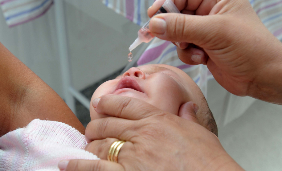 Paraná realiza Campanha de Multivacinação para crianças e adolescentes. Foto: Venilton Kuchler/Arquivo SESA